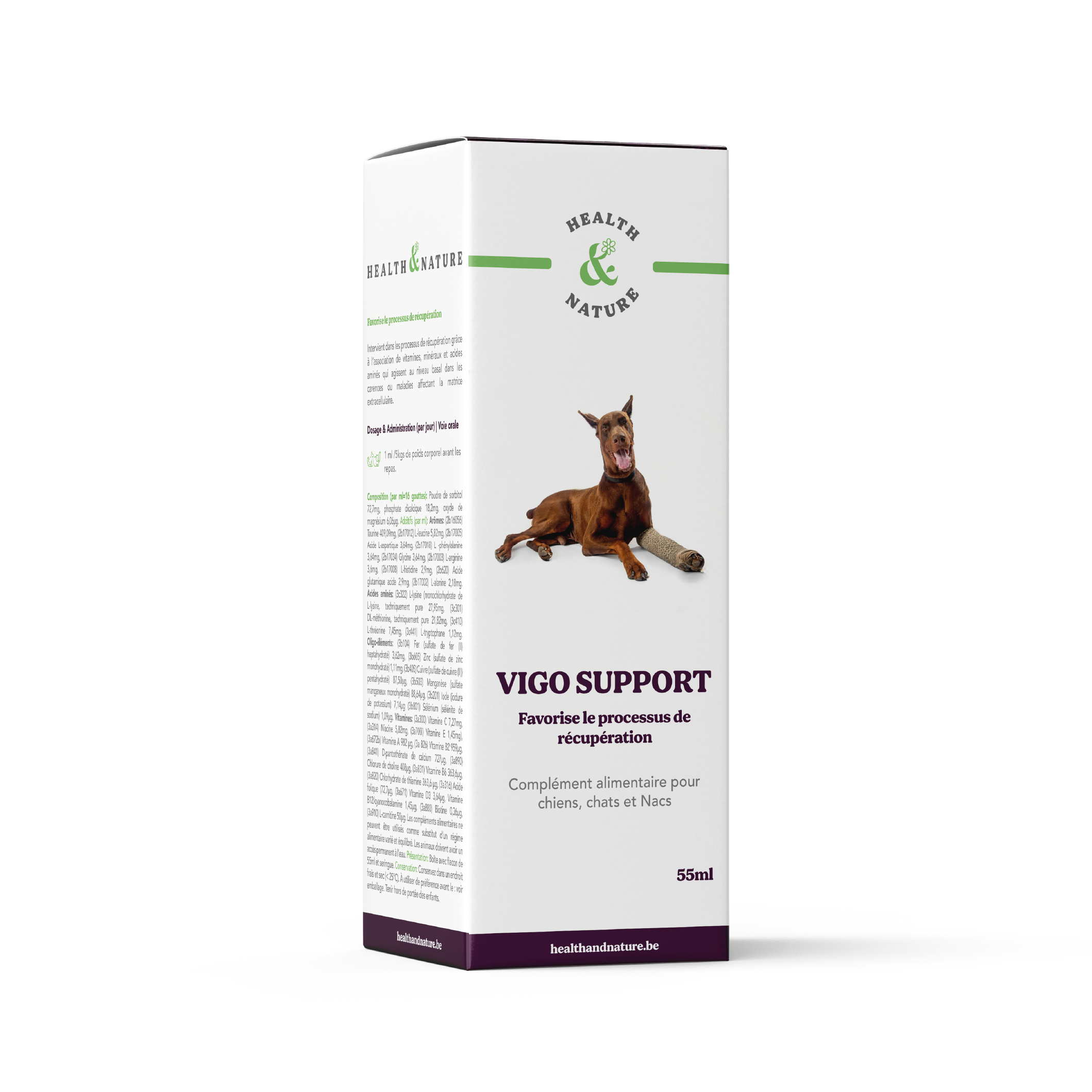 Vigo Ondersteuning 55ml